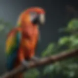 Colorful parrot perched on a branch