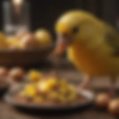 Understanding the Nutritional Requirements of Canaries A close-up of a canary eating a nutritious seed mix, highlighting its dietary needs.