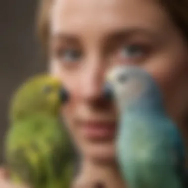 Playful Bonding with a Budgerigar A close-up of a budgerigar interacting playfully with its owner