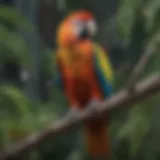 A colorful parrot perched on a branch, showcasing its vibrant feathers