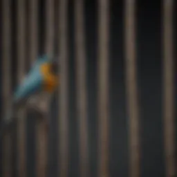 Colorful assortment of bird cage ropes for avian habitats