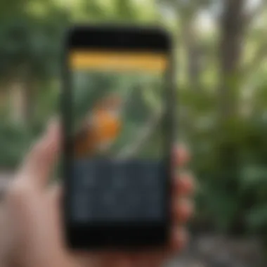 Utilizing Technology for Bird Calls A close-up of a smartphone displaying a bird call identification app