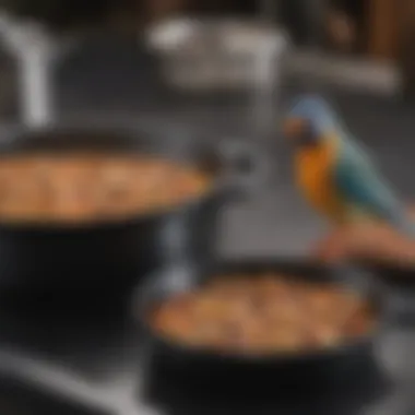 A close-up of bird safe nonstick cookware showcasing its surface texture.