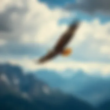 Eagle Soaring Above Mountains An elegant eagle soaring high above a mountainous landscape.