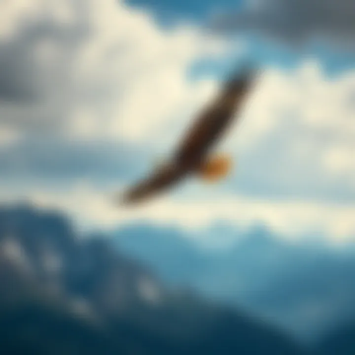 Eagle Soaring Above Mountains An elegant eagle soaring high above a mountainous landscape.
