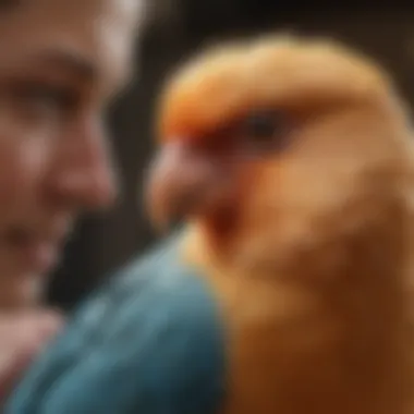 A close-up of a pet bird being cared for, emphasizing the bond between caregiver and bird