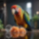 A colorful parrot contemplating a piece of fish