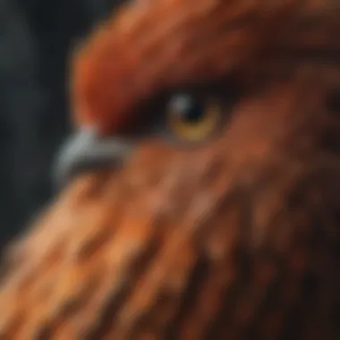 A close-up of a bird's vibrant feathers, highlighting the beauty of pet birds.