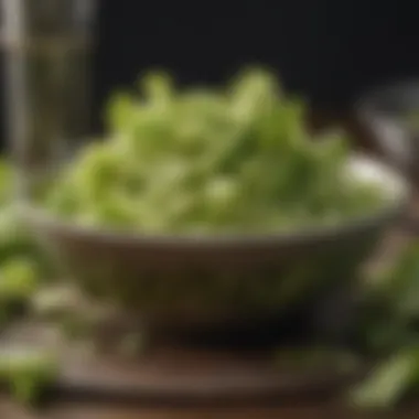 Chopped Celery in Bird Bowl Close-up of chopped celery in a bird's feeding bowl