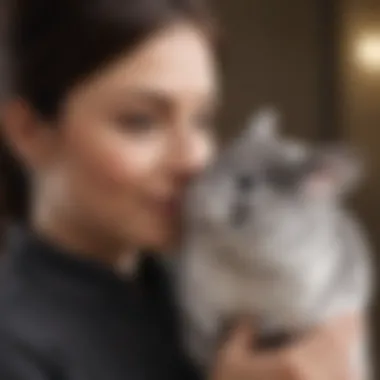 A chinchilla interacting playfully with a caregiver, highlighting their bond.