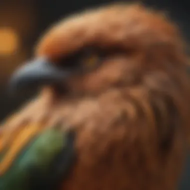 Different bird species showcasing unique feathers