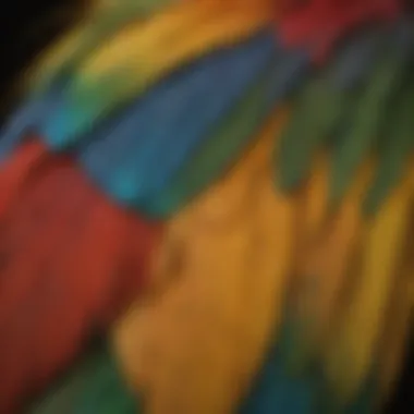 Close-up of a macaw tail feather showcasing intricate patterns and colors