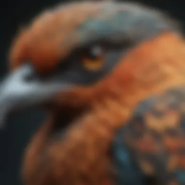 Close-up of distinctive bird features such as plumage and beak shapes