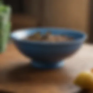 A selection of feeding bowls made from different materials, including plastic and stainless steel.