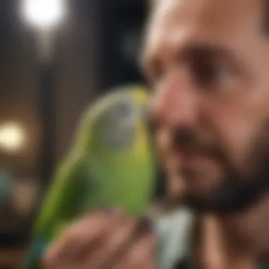 The Bond Between Parakeets and Their Caregivers A parakeet interacting with its owner