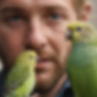 The Bond Between Budgerigars and Their Caregivers A close-up of a budgerigar interacting with its owner.