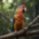 A colorful parrot perched on a tree branch, showcasing its vivid plumage.