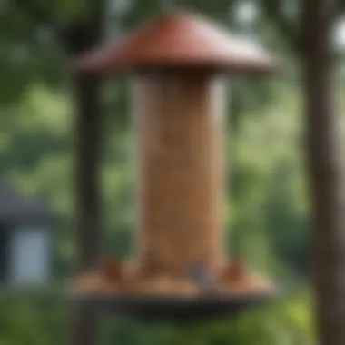 Close-up of a high-quality bird feeder showcasing its durable materials.