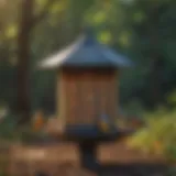 A vibrant bird feeder attracting a variety of colorful birds.