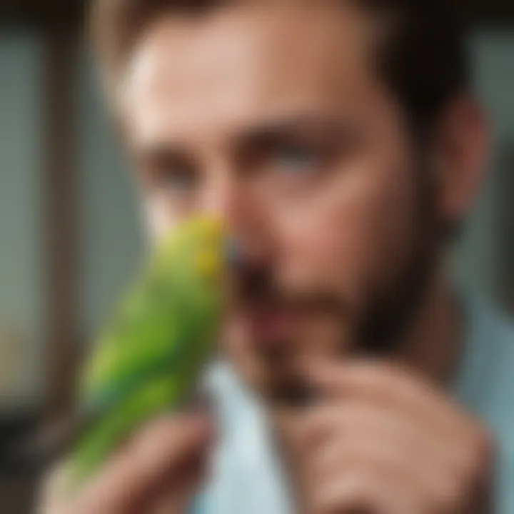 A veterinarian examining a cheerful parakeet.