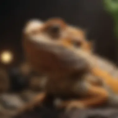 Understanding Bearded Dragon Behavior Bearded dragon exhibiting natural behaviors in its enclosure