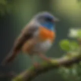 A detailed close-up of a songbird perched on a branch, showcasing its vibrant colors and features.