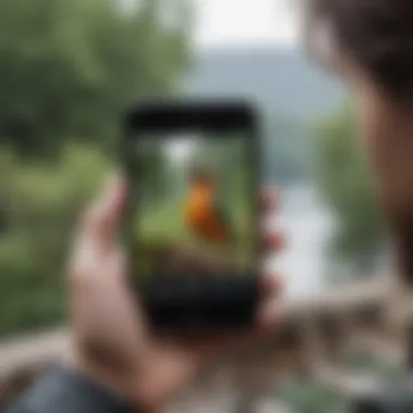 User interacting with a bird identification app