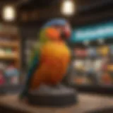 A vibrant pet bird shop showcasing a variety of colorful birds