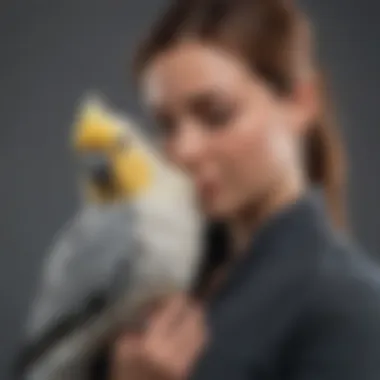 Person interacting with a cockatiel on their shoulder