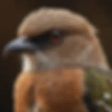 A close-up of a bird in its natural habitat, showcasing unique features.