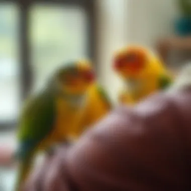 A joyful interaction between a caregiver and love birds