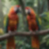 Vibrant parrot perched on a branch