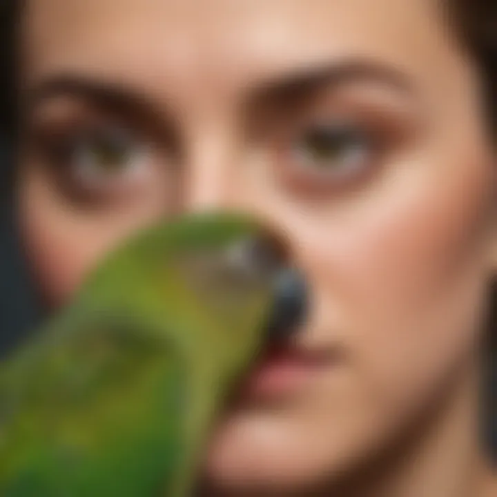 A close-up of a green cheek conure interacting with its owner, highlighting the bond between them.