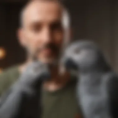 African Grey Parrot interacting with owner