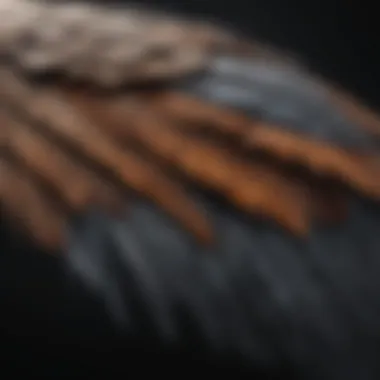 Aerodynamics of Bird Wings A detailed view of a bird's wing structure, showcasing its aerodynamic features.