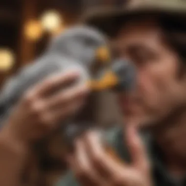 A person interacting playfully with a pet bird on their hand.