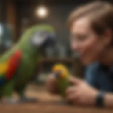 Building a Trusting Relationship with Your Parrot A caregiver interacting with a parrot in a nurturing manner