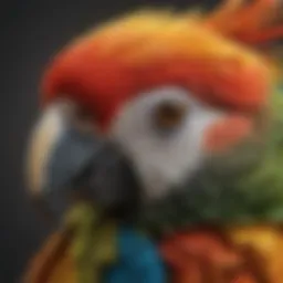 Close-up of a colorful parrot showcasing vibrant feathers.