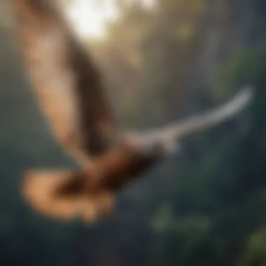 A bird in flight, capturing its wing span and movement.