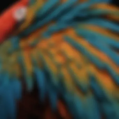 Close-up of a macaw parrot showcasing its colorful feathers