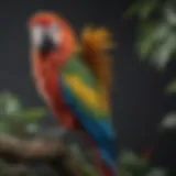 A vibrant macaw parrot perched on a branch