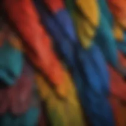 Vibrant macaw tail feathers arranged artistically on a textured background