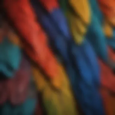 Vibrant macaw tail feathers arranged artistically on a textured background