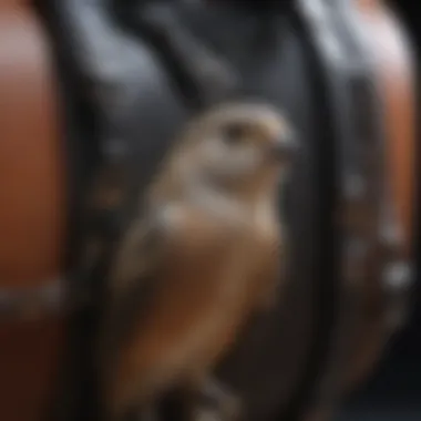 Close-up of various materials used in bird harnesses