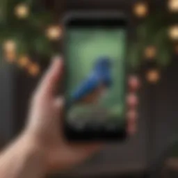 A mobile phone displaying a bird sound recognition app in action