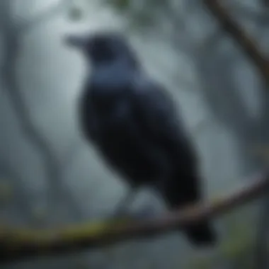 The Mysterious Raven: Symbol of the Unknown An ominous-looking raven perched on a branch, surrounded by a misty atmosphere