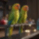 A colorful parakeet perched on a stylish apartment shelf.