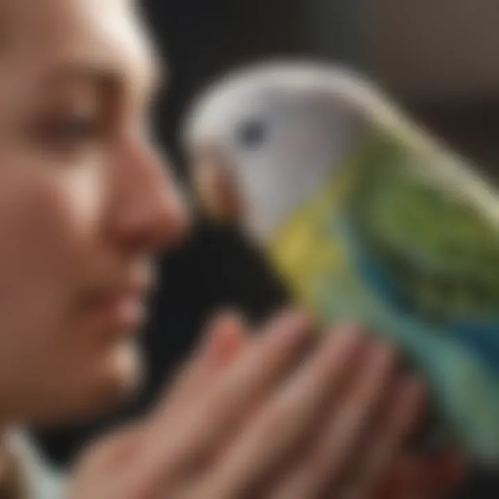 A close-up of a hand gently interacting with a small budgie, emphasizing the bond between bird and owner