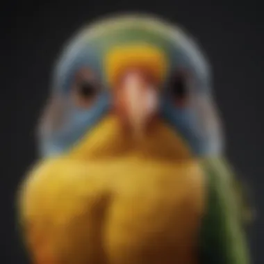 Diverse Pet Bird Species A colorful array of various pet bird species, illustrating the diversity and charm of avian companions.