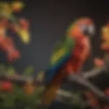 A vibrant parrot perched on a colorful branch, showcasing its stunning plumage.